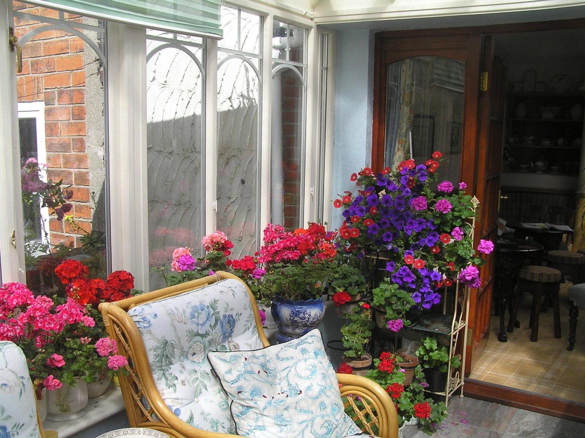 Guest house Tall Storeys
