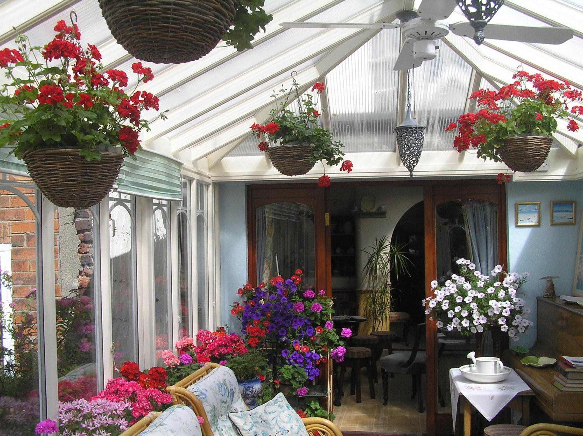 Guest house Tall Storeys 4*