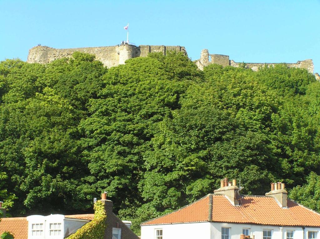 Guest house Tall Storeys Scarborough